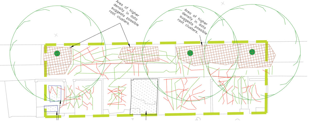 CAD tree root image