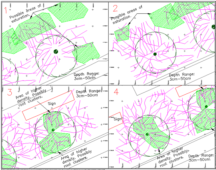 Tree Root Survey