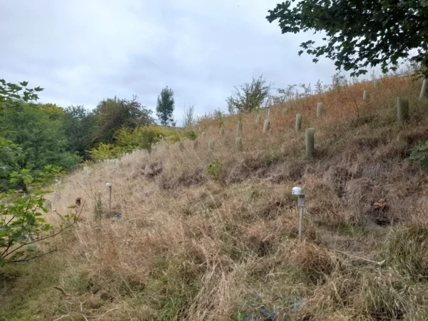 Monitoring survey 1 Wireless sensor systems being deployed on M62 embankment during monitoring survey.