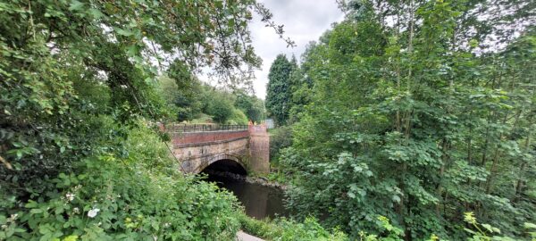 A bridge stretching over a river, nestled amongst lots of green trees.