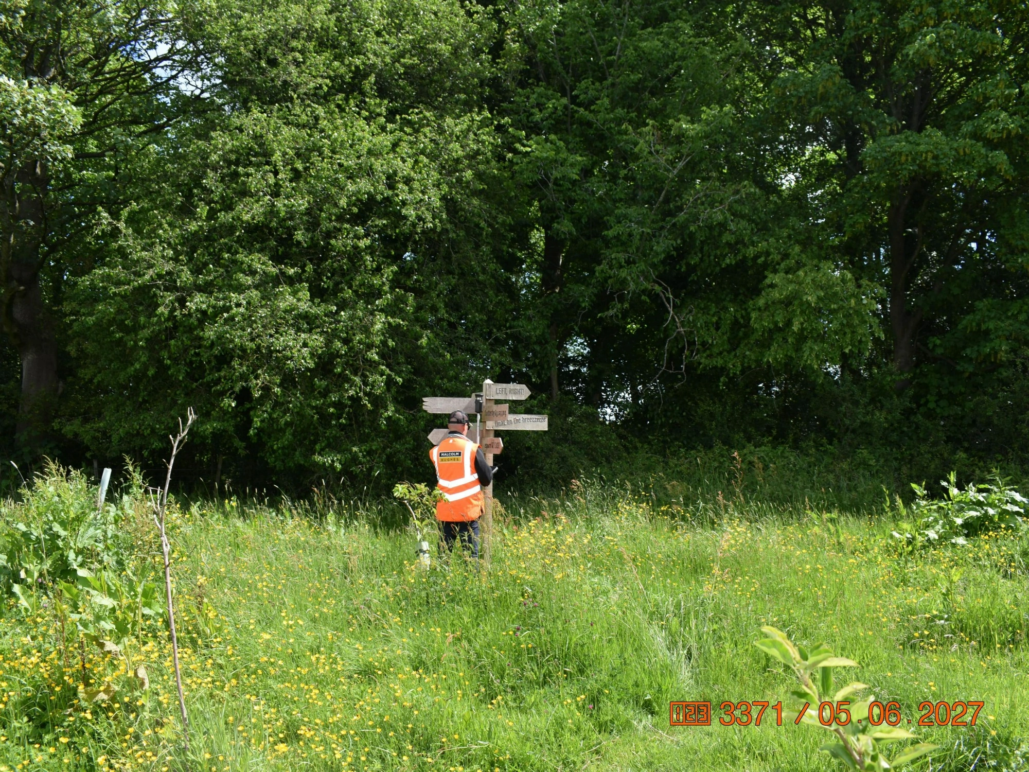 An MHLS land surveyor in an orange high-vis jacket, carrying out a topographical survey surrounded by trees and grass at Bramble Woods.